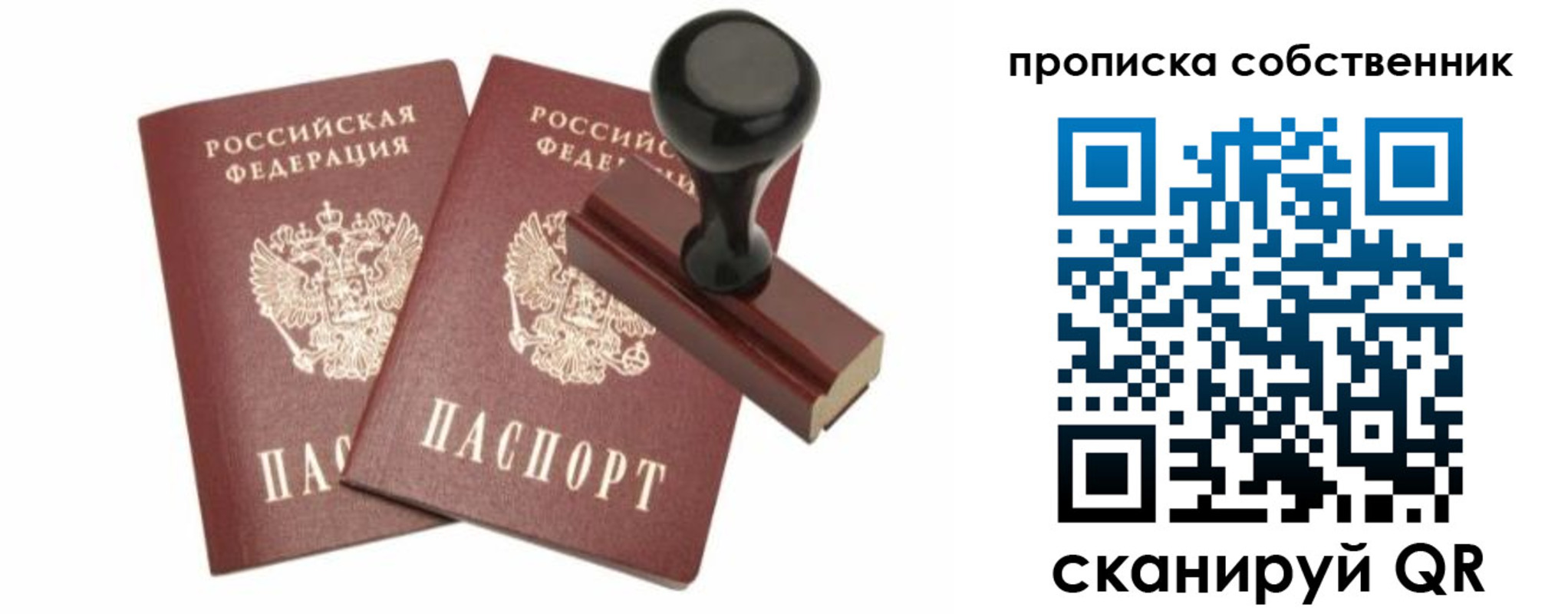 найти адрес прописки в Кингисеппе